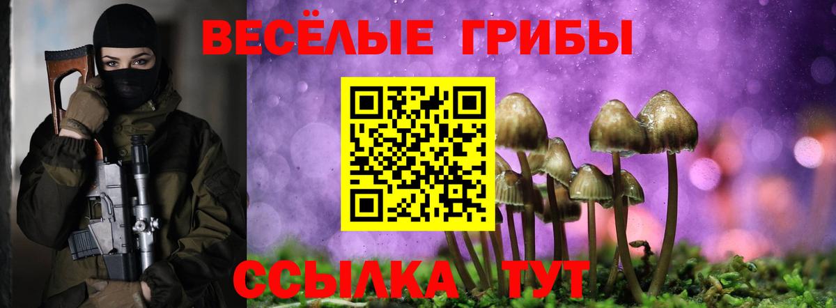 Псилоцибиновые грибы прущие грибы Ярославль
